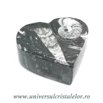 Caseta bijuterii orthoceras Caseta bijuterii orthoceras