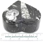 Caseta bijuterii orthoceras Caseta bijuterii orthoceras