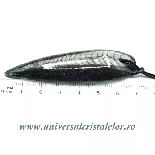 Pandantiv orthoceras Pandantiv orthoceras