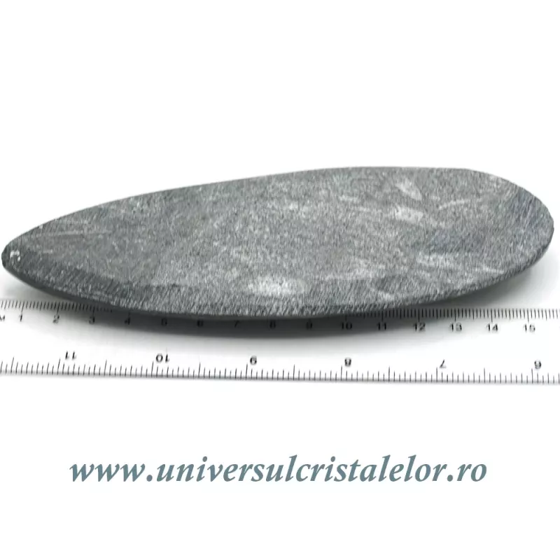 Orthoceras Orthoceras