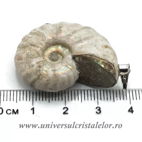 Pandantiv amonit cleoniceras Pandantiv amonit cleoniceras