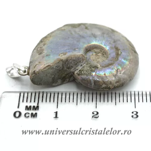 Pandantiv amonit cleoniceras