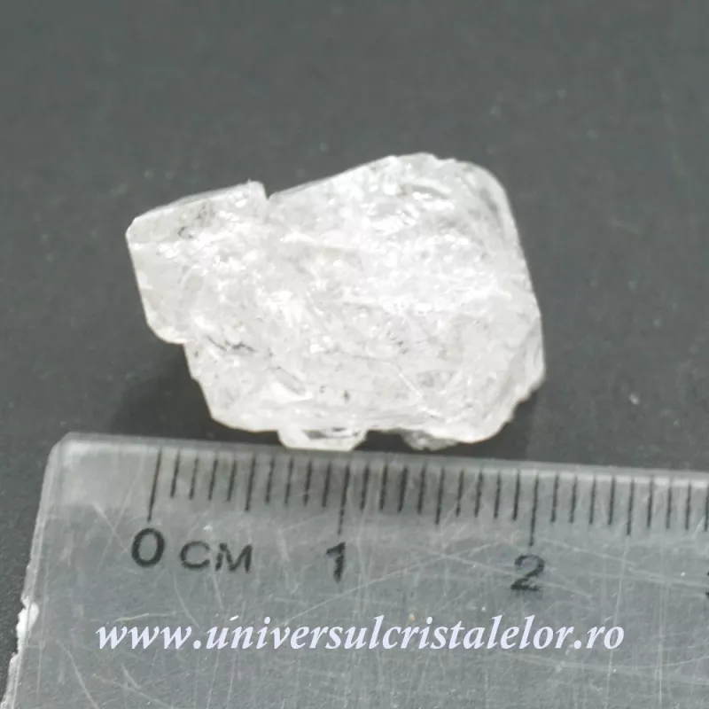 Herkimer Herkimer