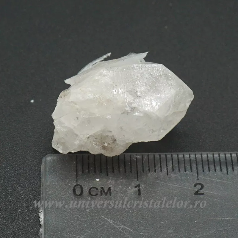 Herkimer Herkimer