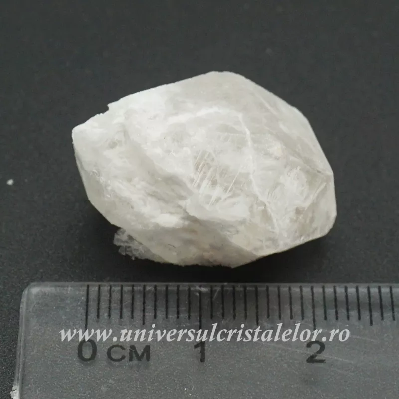 Herkimer Herkimer