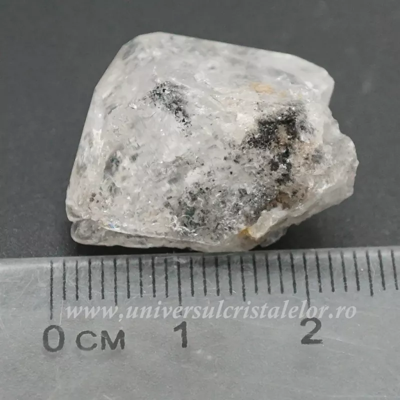 Herkimer Herkimer