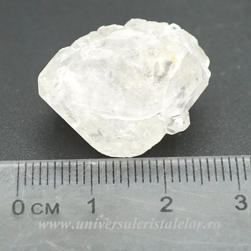 Herkimer Herkimer