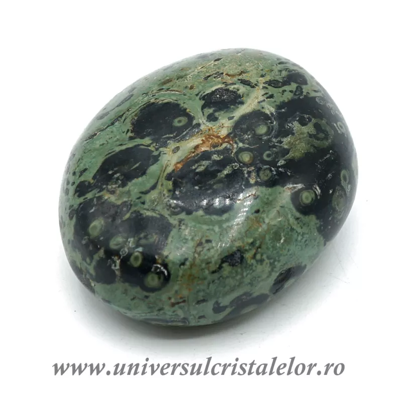 Jasp kambaba polisat