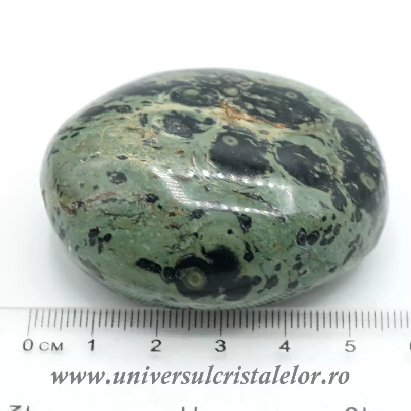 Jasp kambaba polisat