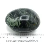 Jasp kambaba polisat