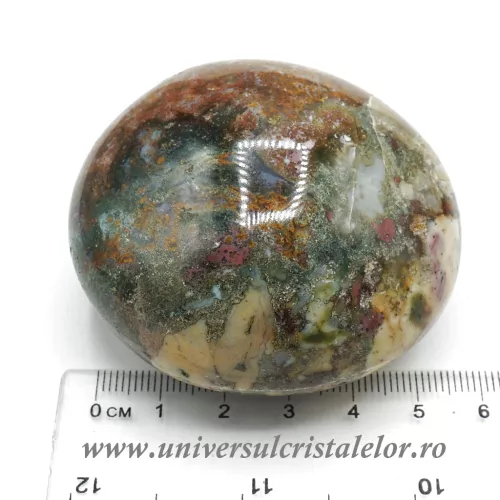 Jasp oceanic polisat 