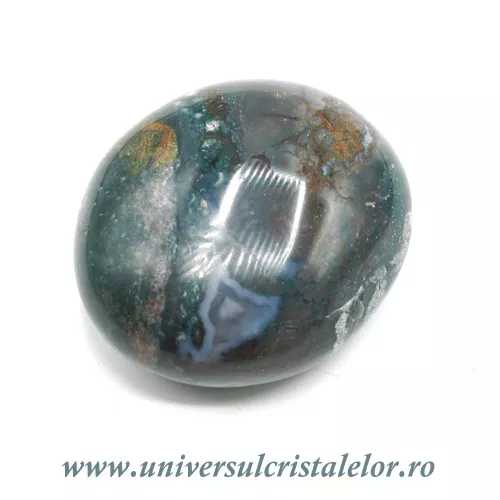 Jasp oceanic polisat  Jasp oceanic polisat
