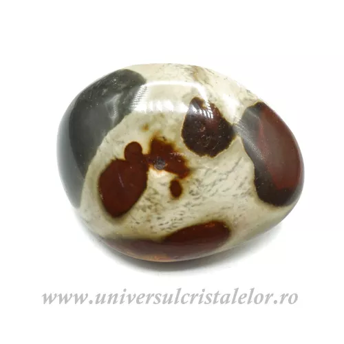 Jasp policrom polisat Jasp policrom polisat