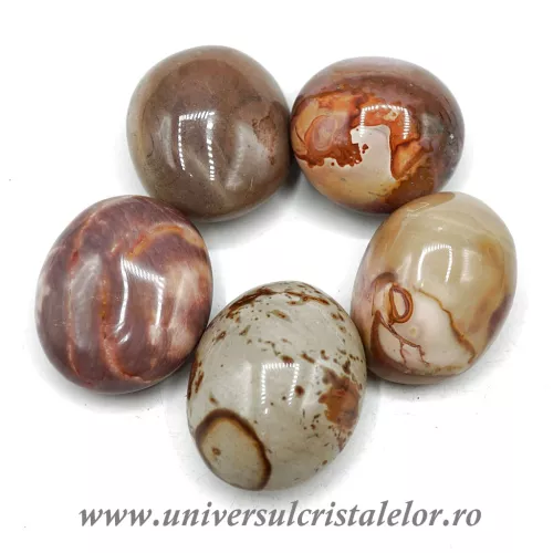 Jasp policrom slefuit m1 Jasp policrom slefuit m1