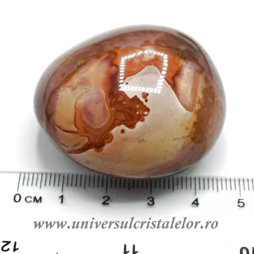 Jasp policrom slefuit m1 Jasp policrom slefuit m1