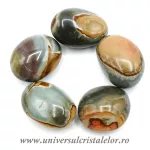 Jasp policrom slefuit