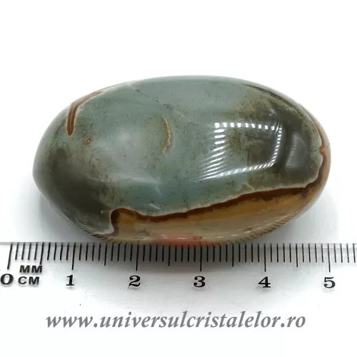 Jasp policrom slefuit m1