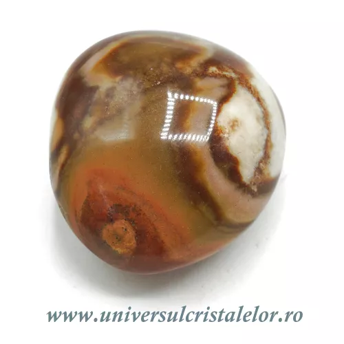 Jasp policrom polisat