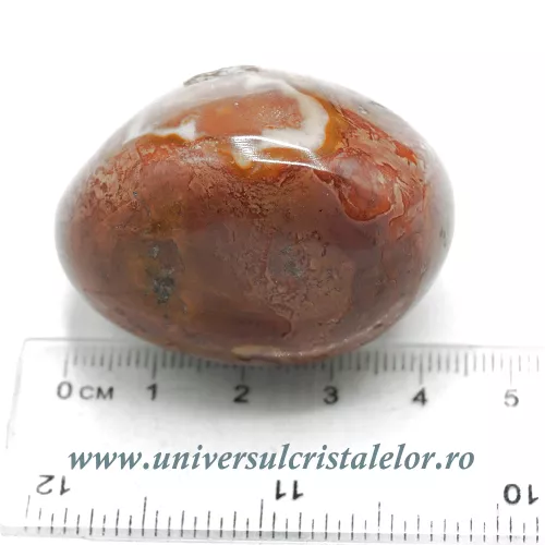 Jasp policrom polisat