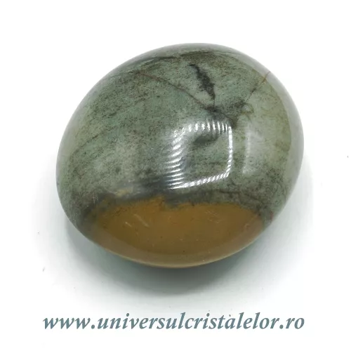 Jasp policrom polisat