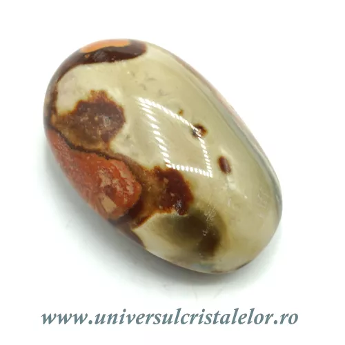 Jasp policrom polisat