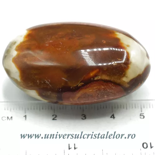 Jasp policrom polisat