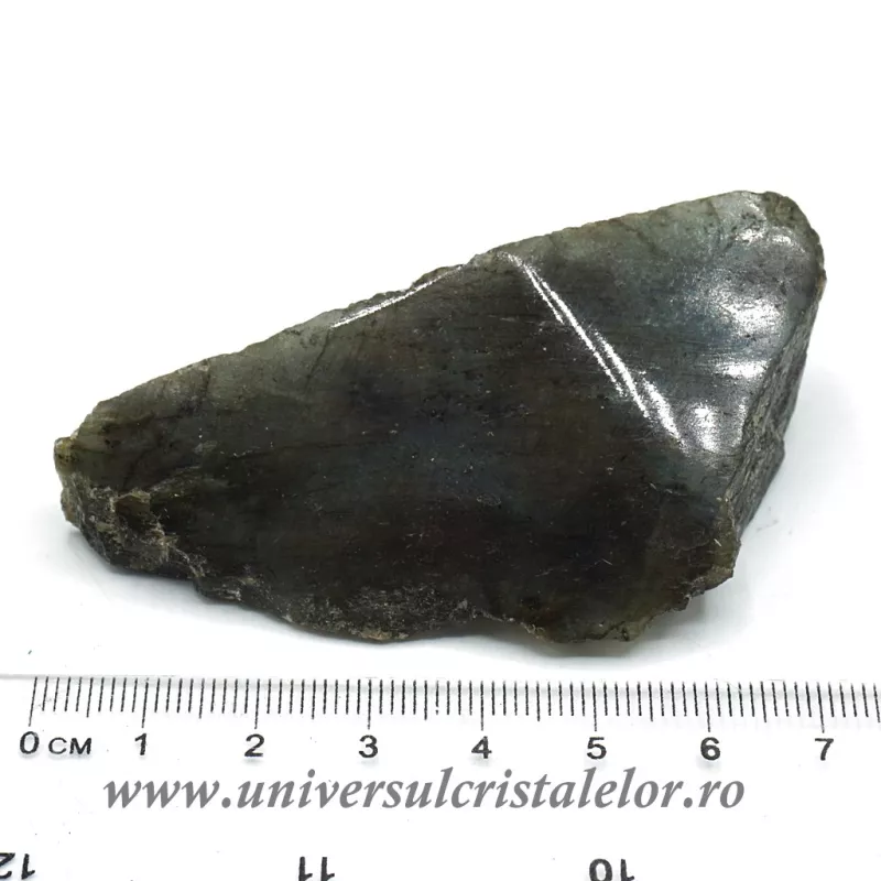 Labradorit polisat Labradorit polisat