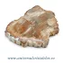Lemn pietrificat 