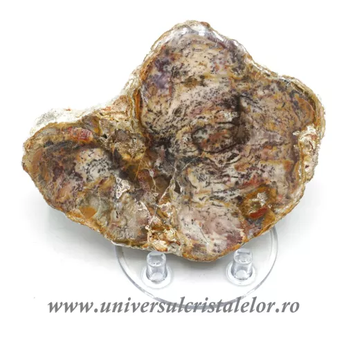 Pandantiv lemn pietrificat Pandantiv lemn pietrificat