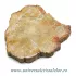 Lemn pietrificat 