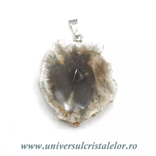 Pandantiv lemn pietrificat Pandantiv lemn pietrificat