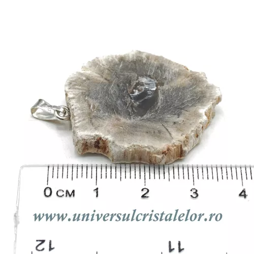 Pandantiv lemn pietrificat Pandantiv lemn pietrificat