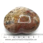 Inima lemn pietrificat