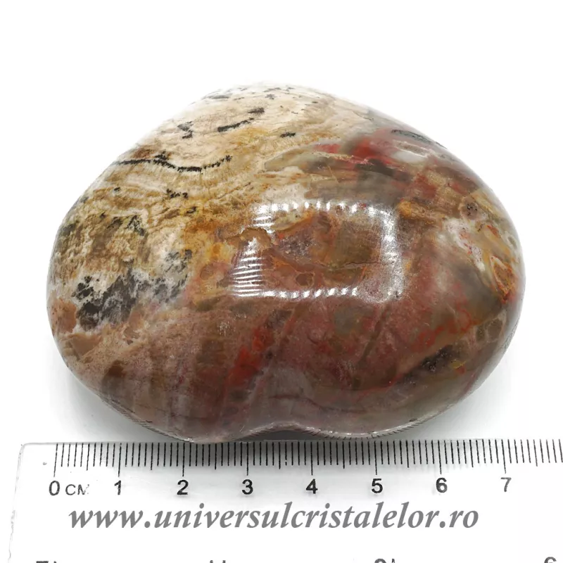 Inima lemn pietrificat