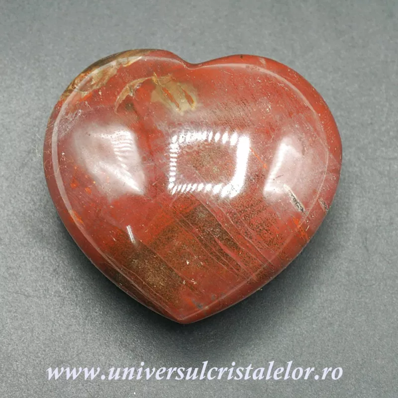 Inima lemn pietrificat