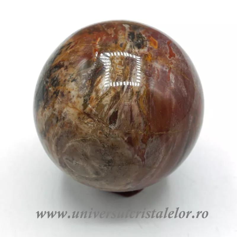 Sfera lemn pietrificat Sfera lemn pietrificat