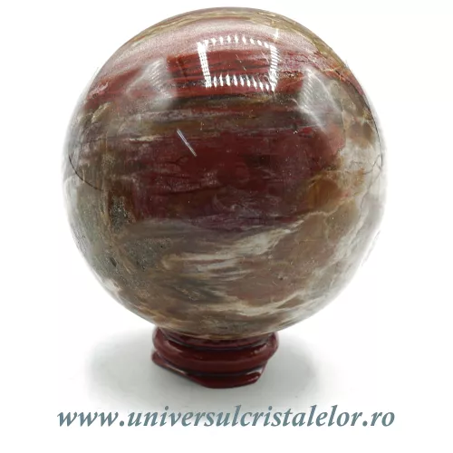 Sfera lemn pietrificat Sfera lemn pietrificat