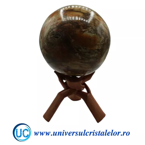 Sfera lemn pietrificat Sfera lemn pietrificat