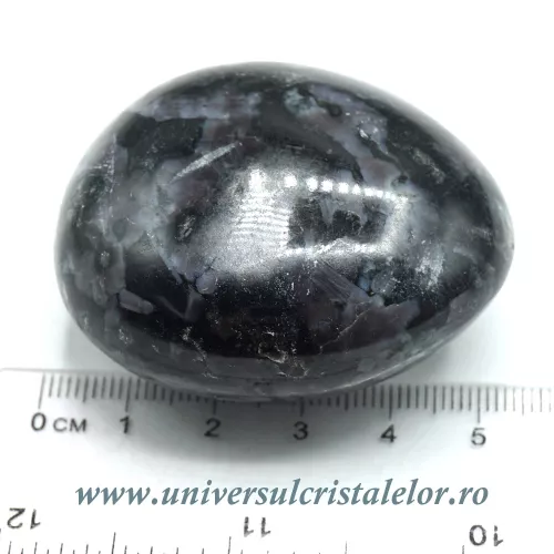 Merlinit polisat Merlinit polisat