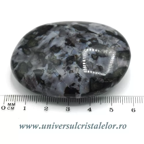 Merlinit polisat Merlinit polisat