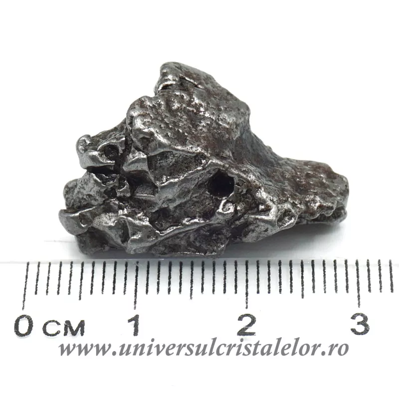 Meteorit Sericho Pallasite Meteorit Sericho Pallasite