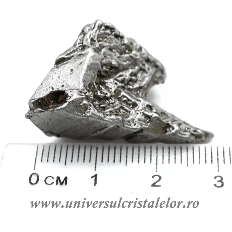 Meteorit Aletai unicat m03