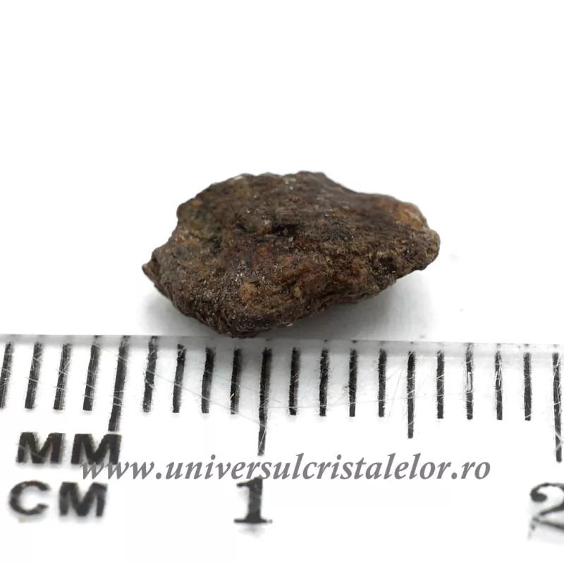 Meteorit Condrite