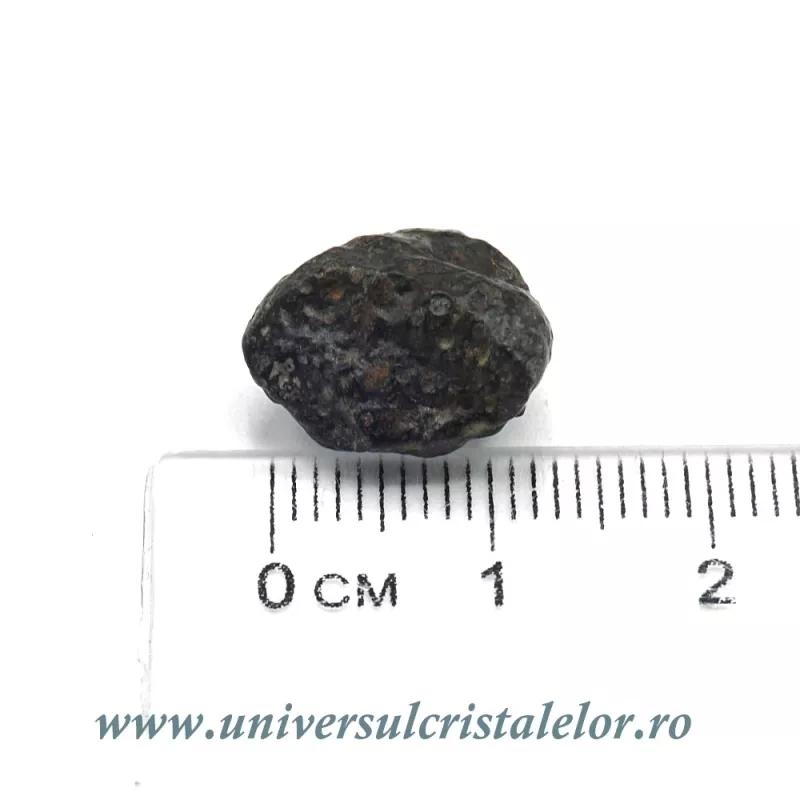 Meteorit Condrit carbonic unicat m01 Meteorit Condrit carbonic unicat m01