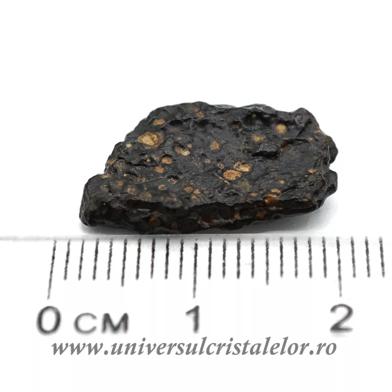 Meteorit Condrit carbonic unicat m03