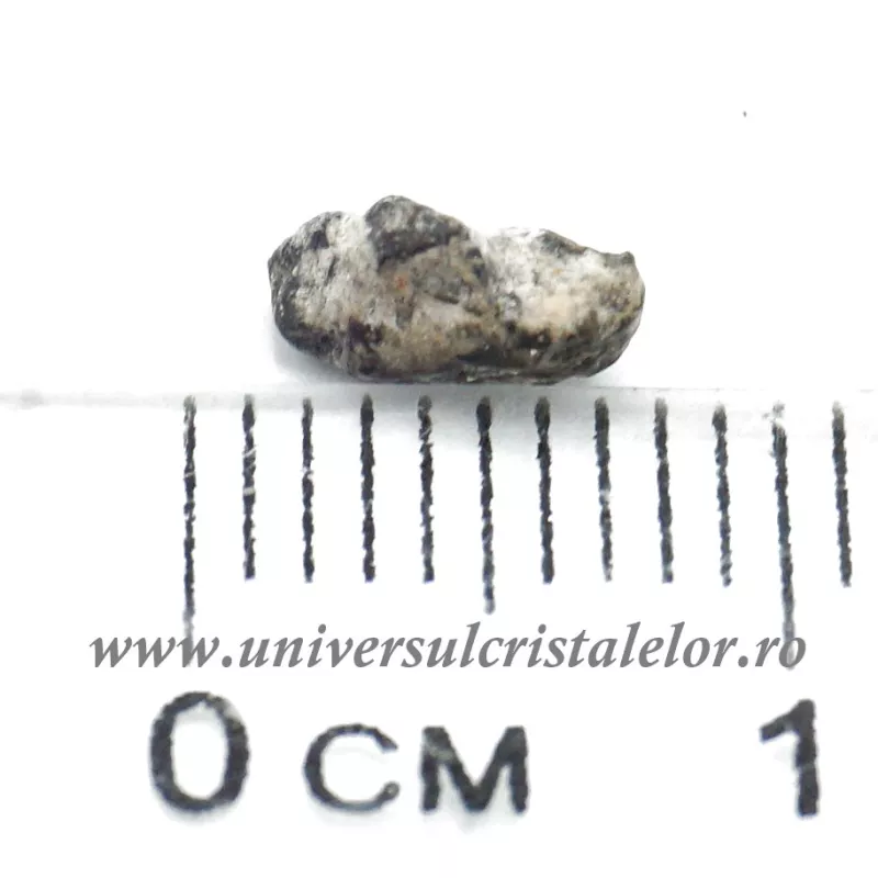 Meteorit Lunar Meteorit Lunar