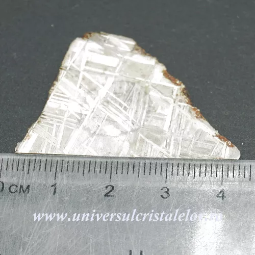 Meteorit Muonionalusta felie unicat m04 Meteorit Muonionalusta felie unicat m04