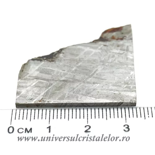 Meteorit Muonionalusta felie unicat m01 Meteorit Muonionalusta felie unicat m01