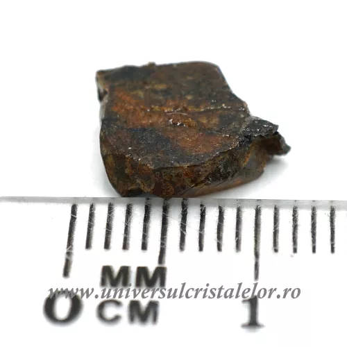 Meteorit Sericho Pallasite unicat m03