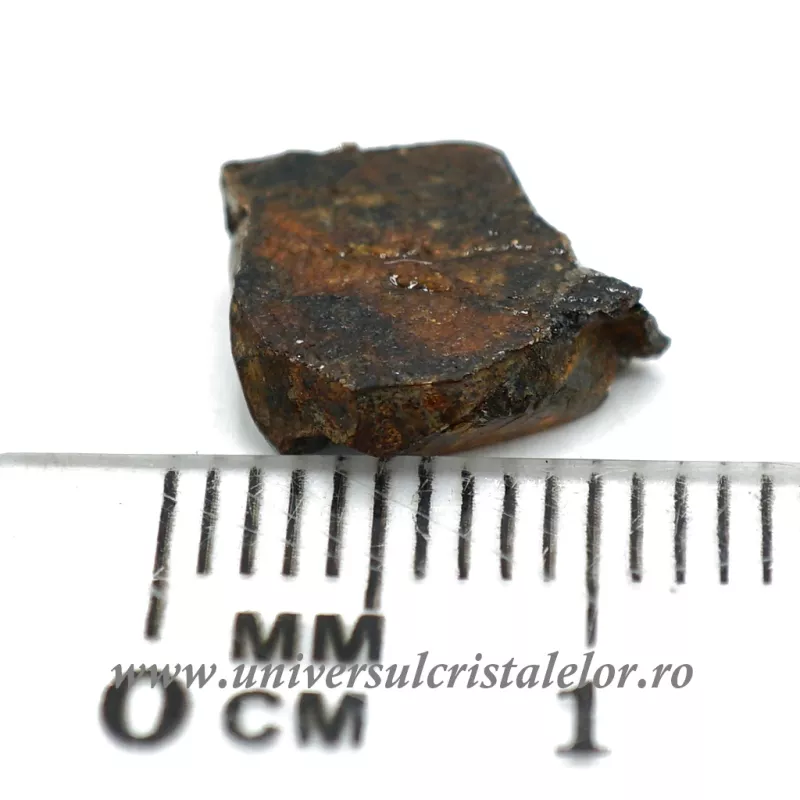 Meteorit Sericho Pallasite unicat m03